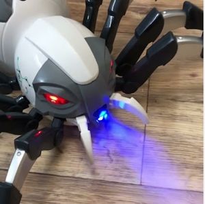 Remote Control Light and Spray Spider Toy age 8+